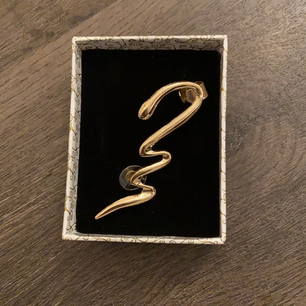 Earring